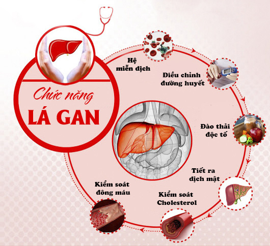 gioi-tre-dung-chu-quan-voi-la-gan-cua-chinh-minh