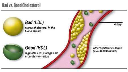 Ngũ cốc loại ra Cholesterol xấu