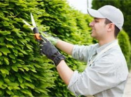 gardenhub