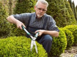 gardenhub
