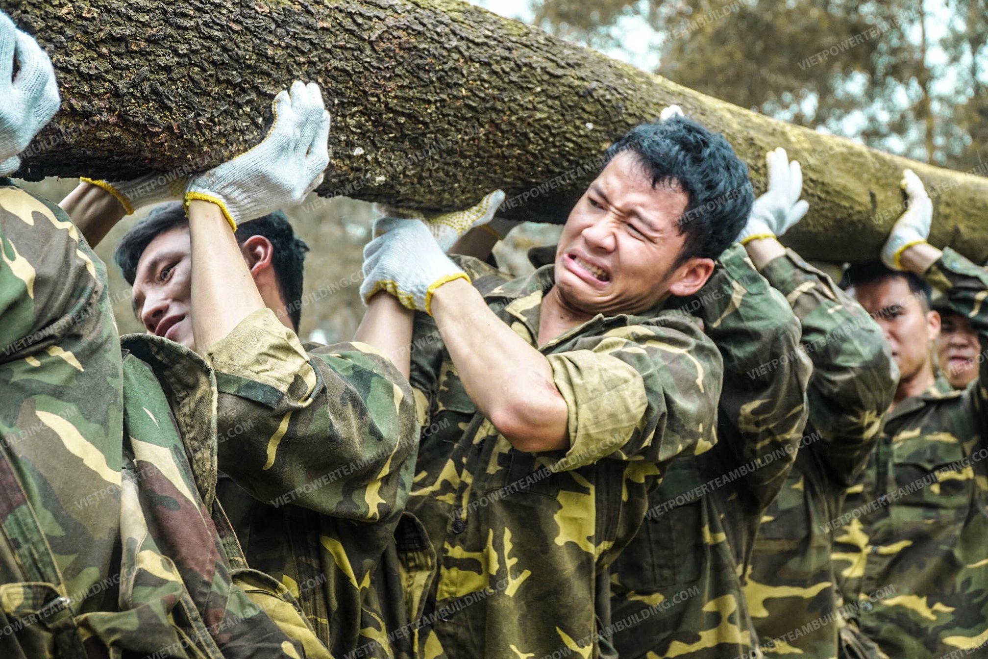 Chương Trình Team 