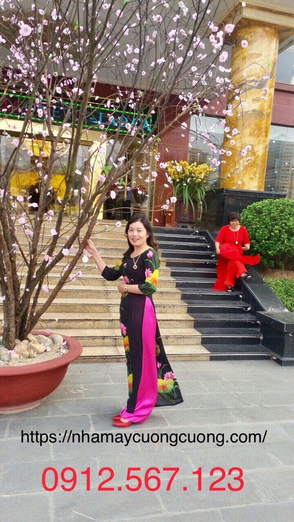Áo dài 01