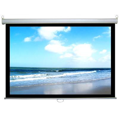 Màn chiếu treo tường Herin 60x60 inch