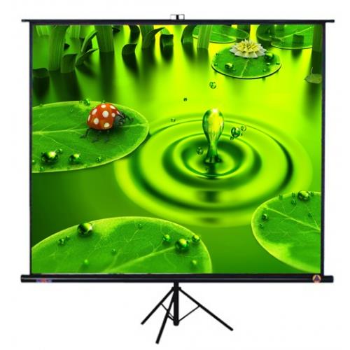 Màn chiếu 3 chân Herin 96x96 inch