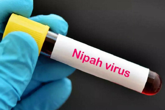 TIN TỨC: BỘ Y TẾ THÔNG TIN VỀ DỊCH BỆNH CHO VIRUS NIPAH