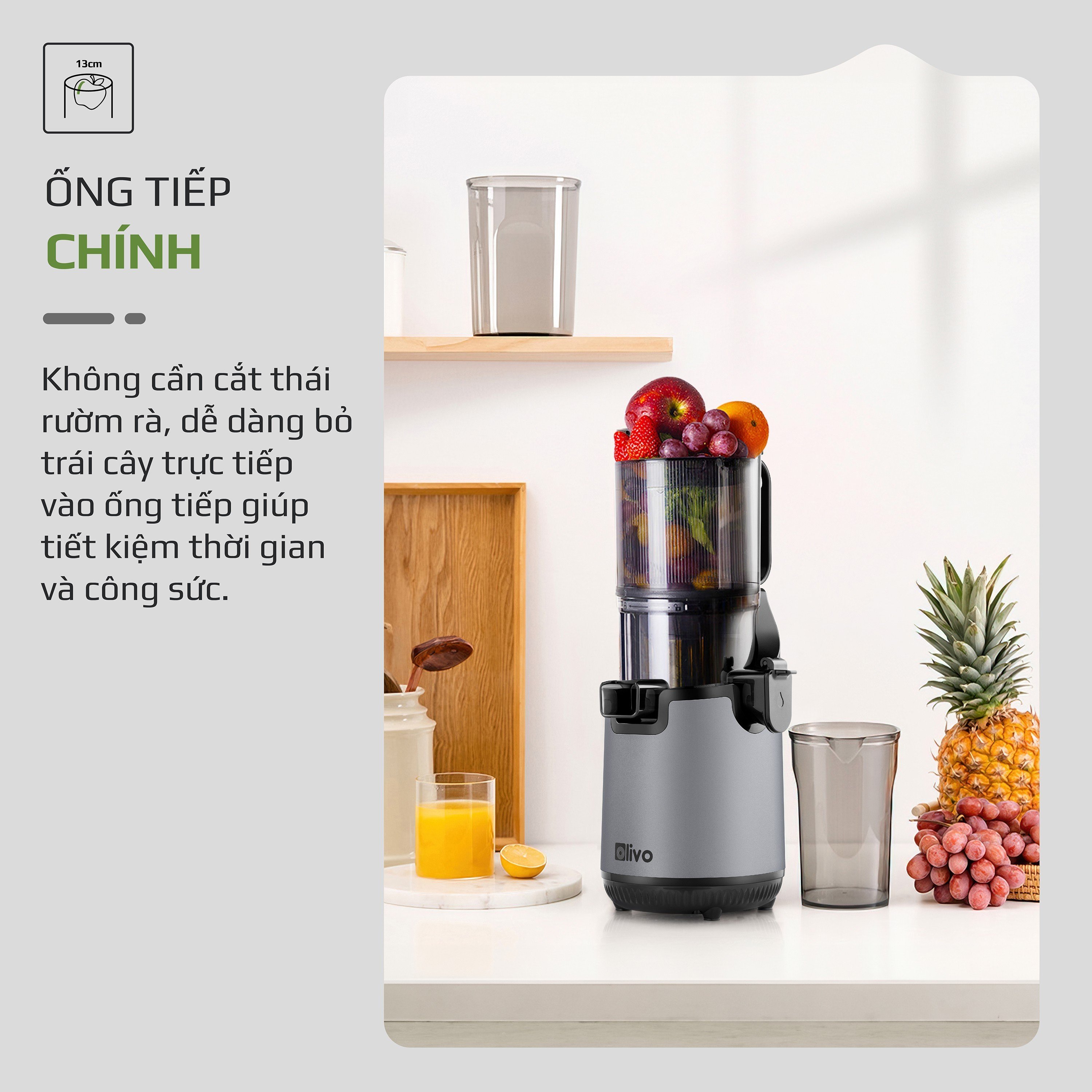 Máy Ép Chậm Olivo SJ196