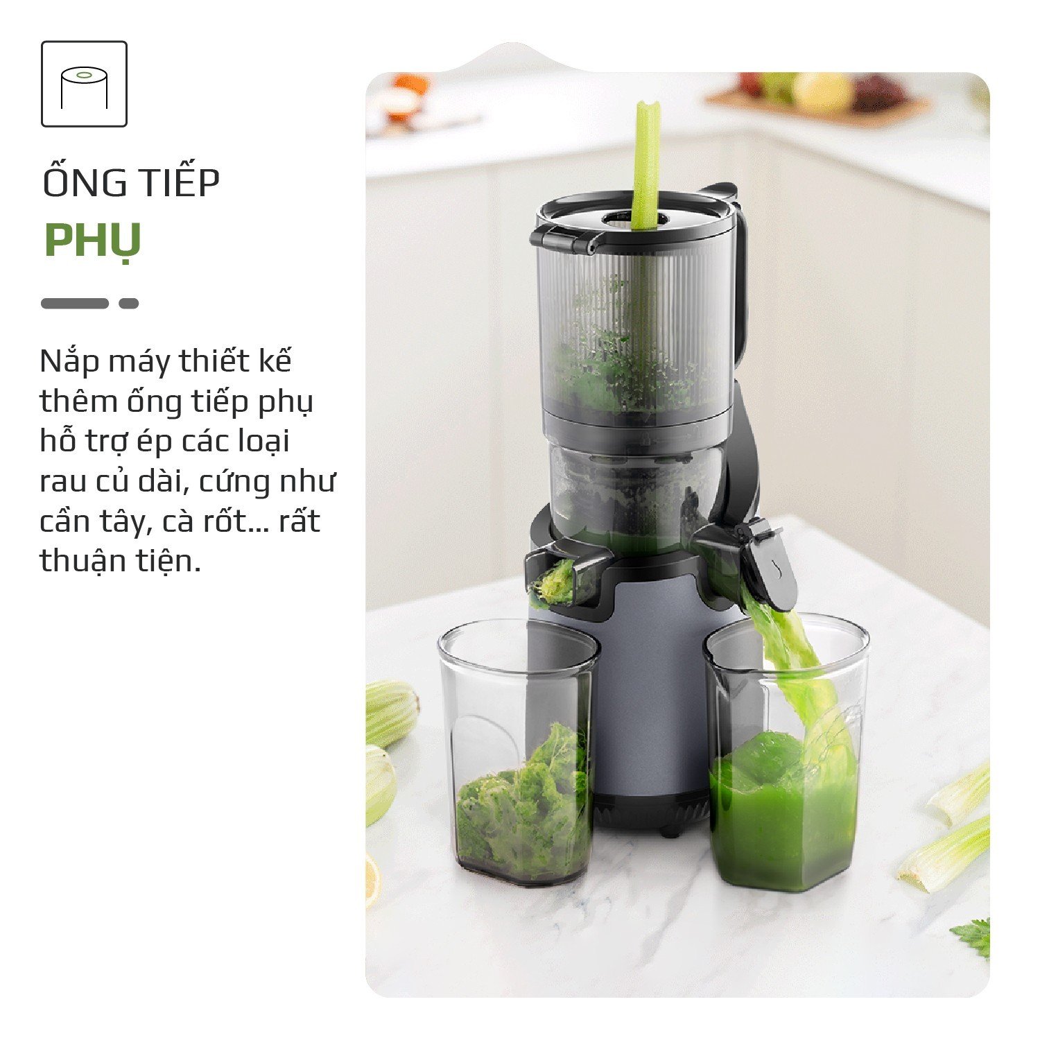 Máy Ép Chậm Olivo SJ196