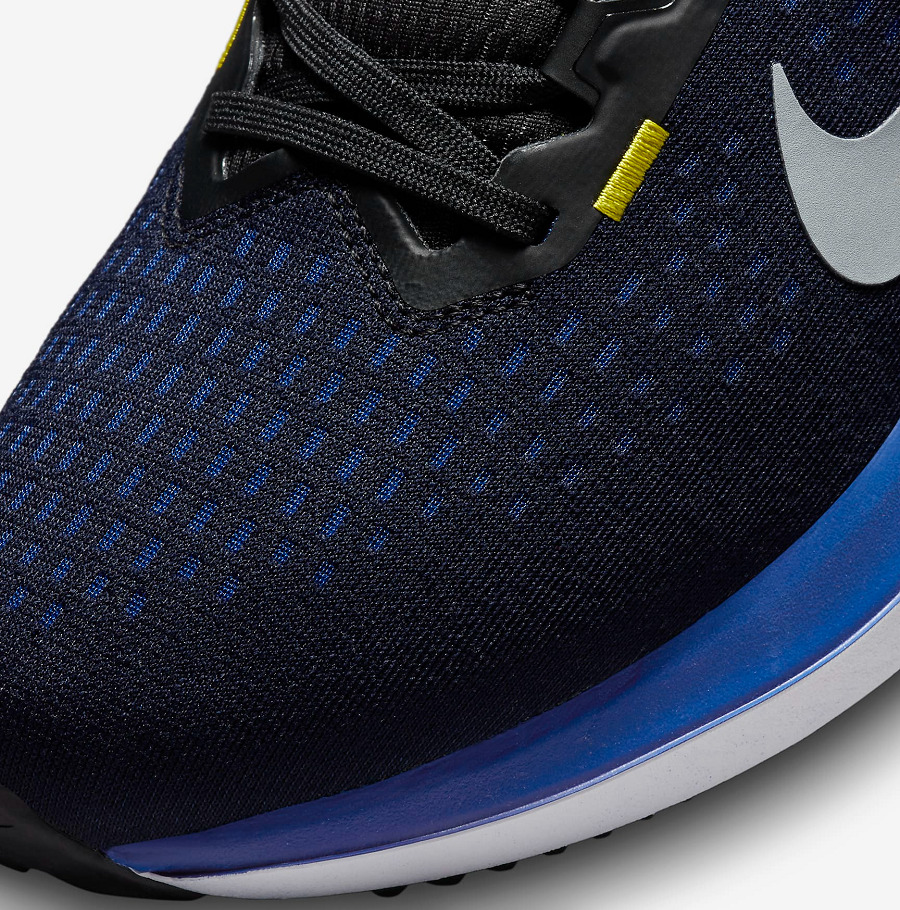 Giày Nike Winflo 10 "Black Blue"