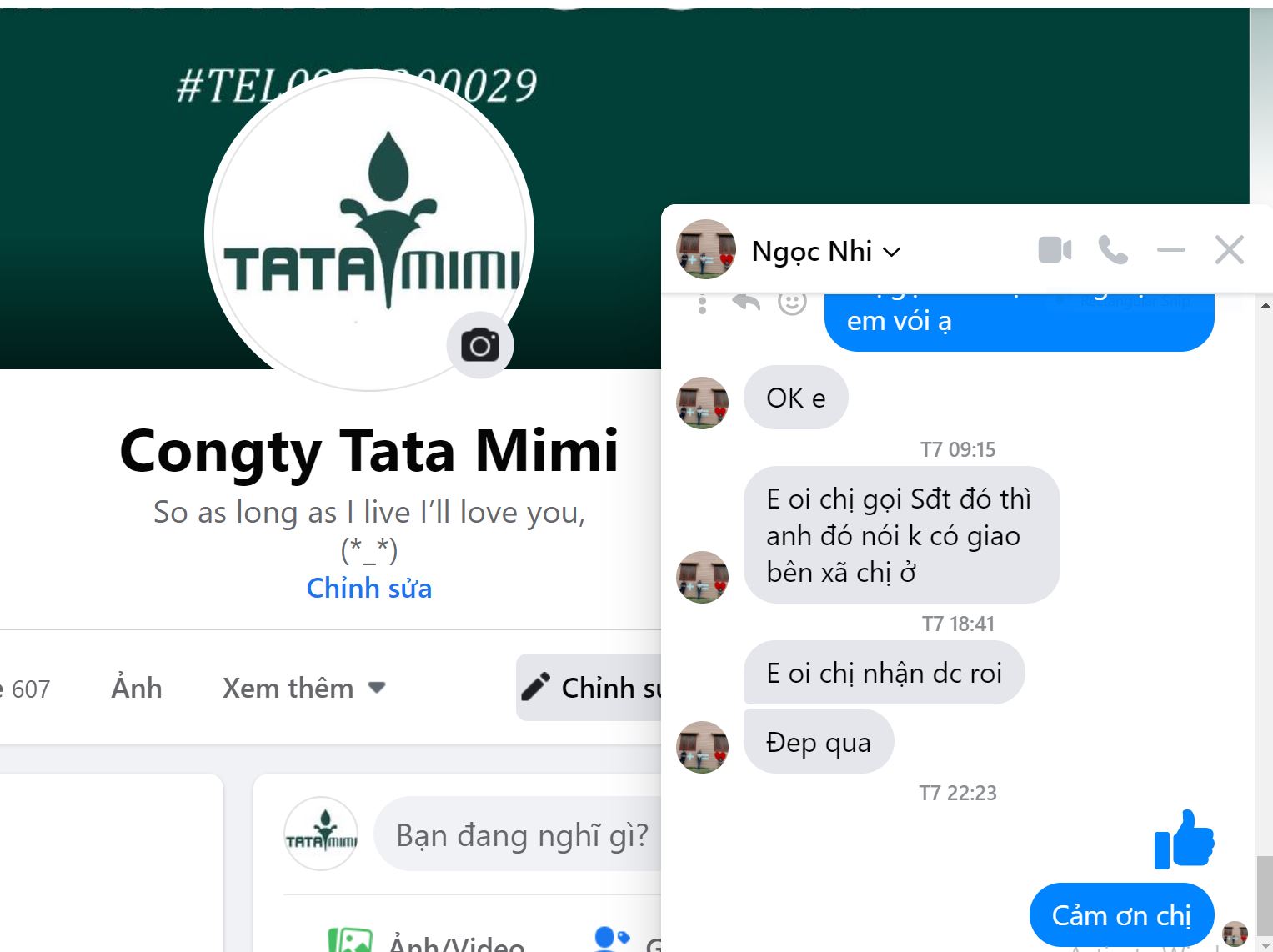 tiêu lệnh chữa cháy mica