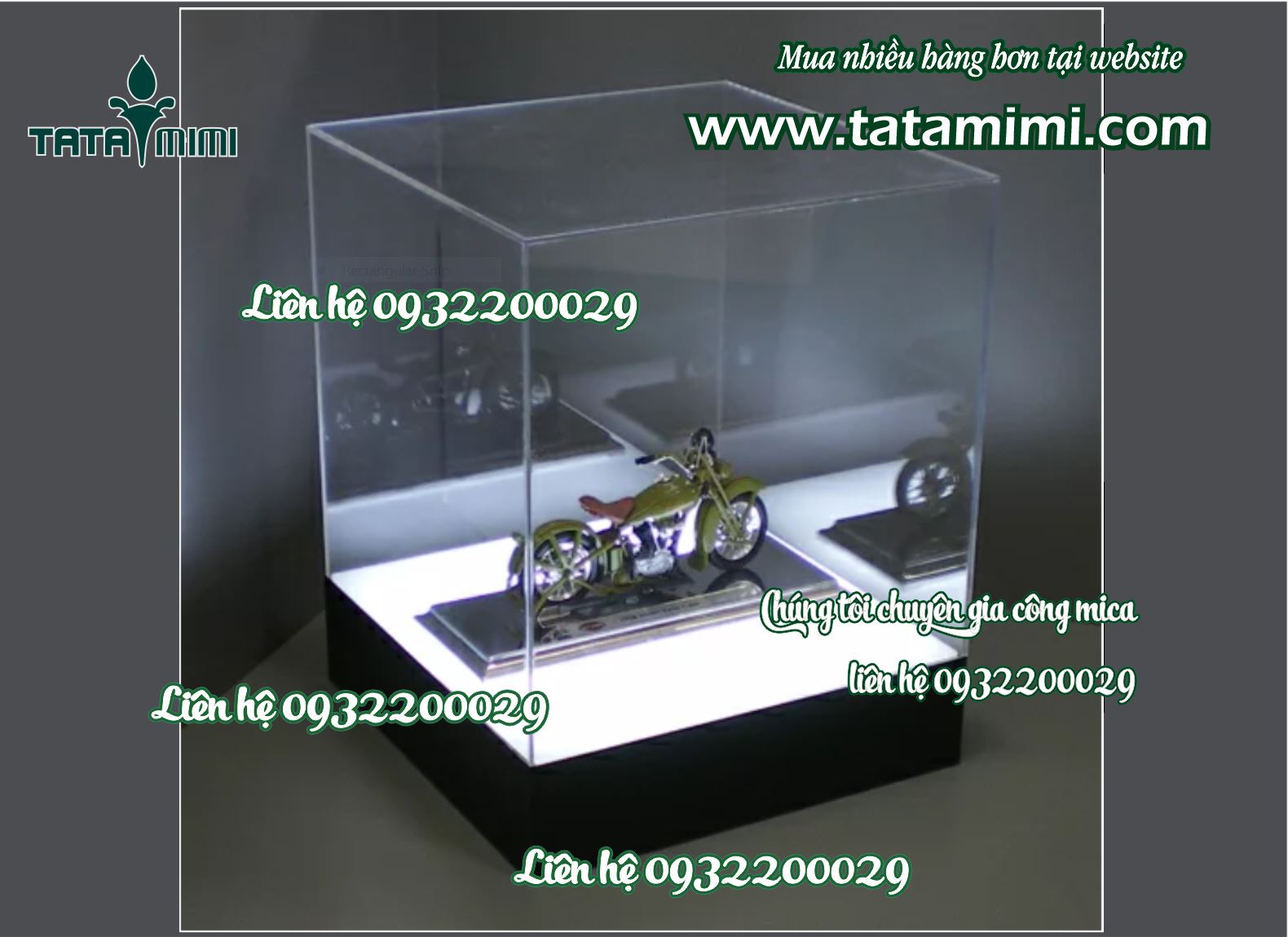 Hộp chụp thân mica trong với đế các màu khác nhau