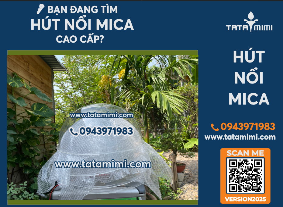 Hút Nổi Mica 70cm Bán Cầu Trong Suốt 3mm