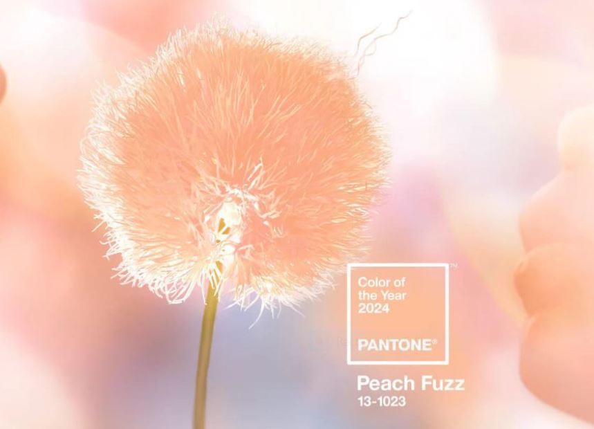 2024 Pantone công bố “Peach Fuzz” là màu sắc của năm 2024