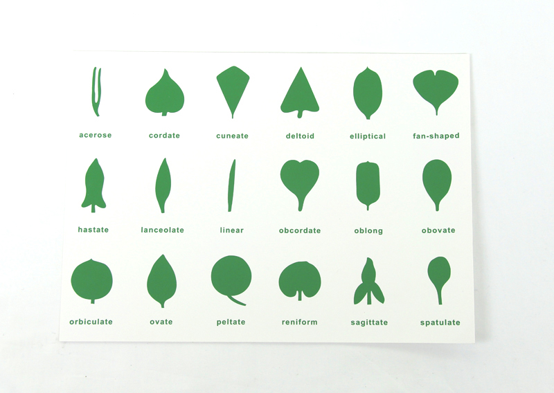 Botany cabinet control chart