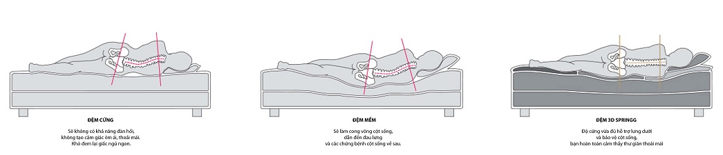 KHI NÀO CHIẾC GIƯỜNG CỦA BẠN CẦN THAY NỆM MỚI