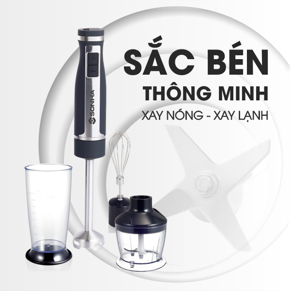 Công ty Cổ phần Quốc tế Sơn Hà