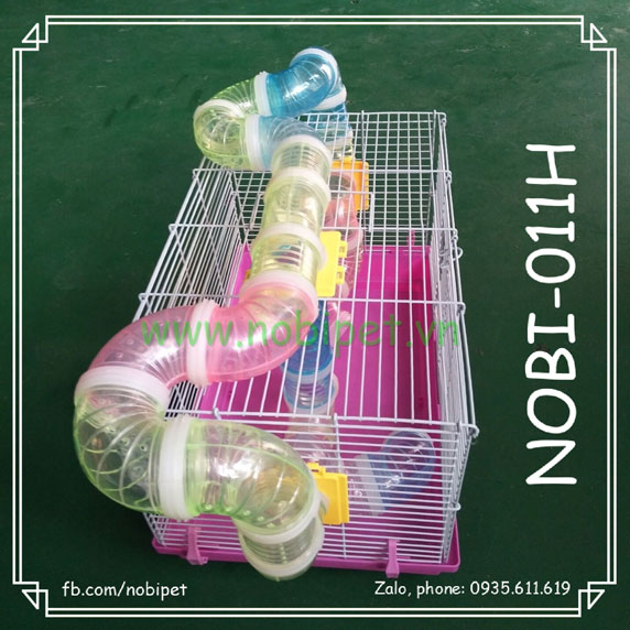 Hướng dẫn chi tiết cách nuôi chuột Hamster cho người mới bắt đầu
