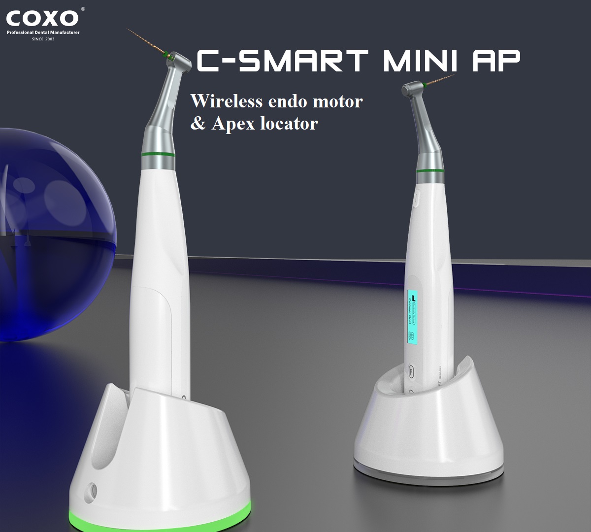 Máy nội nha Coxo C Smart Mini AP