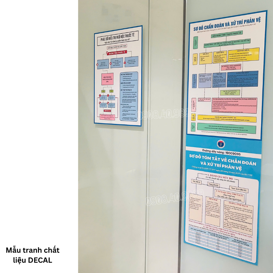 Tranh sơ đồ chẩn đoán và xử trí phản vệ