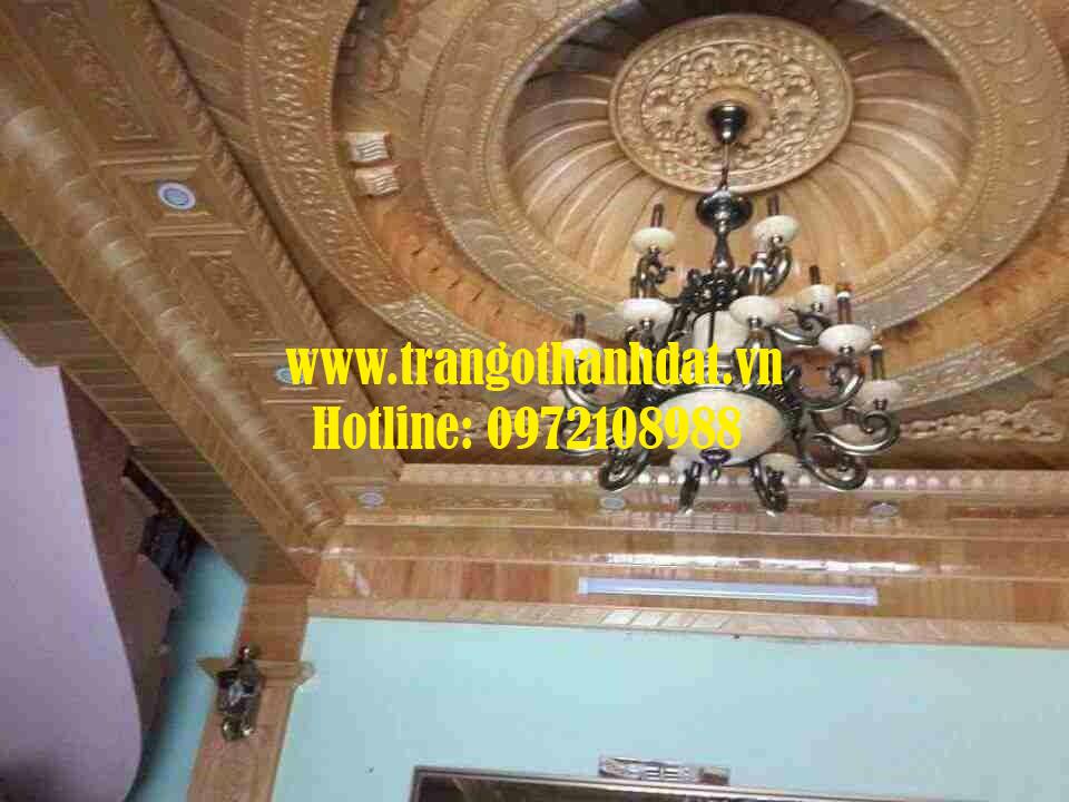 tran-go-tu-nhien-td-tn005