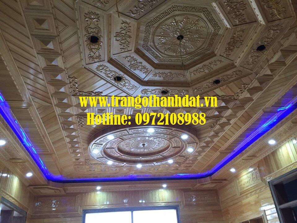 tran-go-tu-nhien-td-tn009