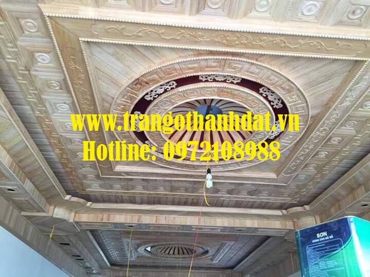 tran-go-tu-nhien-td-tn011