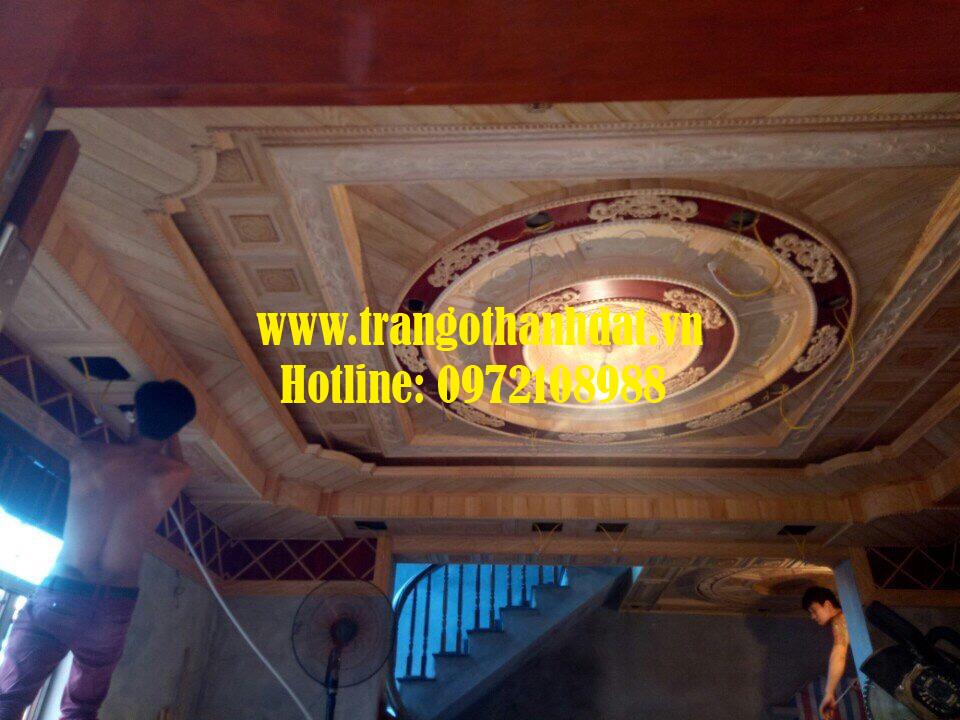 tran-go-tu-nhien-td-tn014