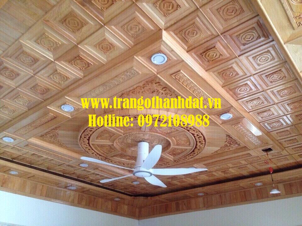 tran-go-tu-nhien-td-tn016