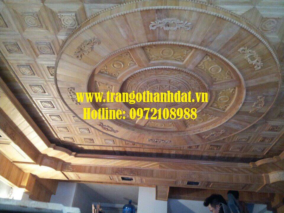 tran-go-tu-nhien-td-tn019