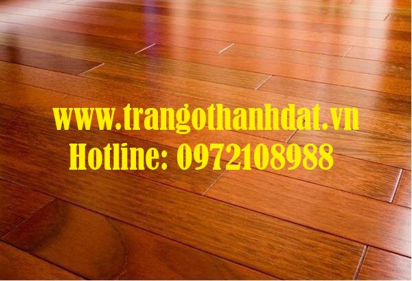 san-go-tu-nhien-td-sg001