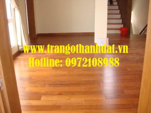 san-go-tu-nhien-td-sg002