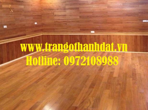 san-go-tu-nhien-td-sg003