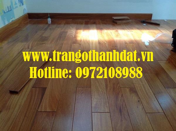 san-go-tu-nhien-td-sg004