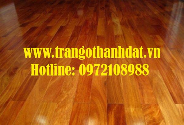 san-go-tu-nhien-td-sg005