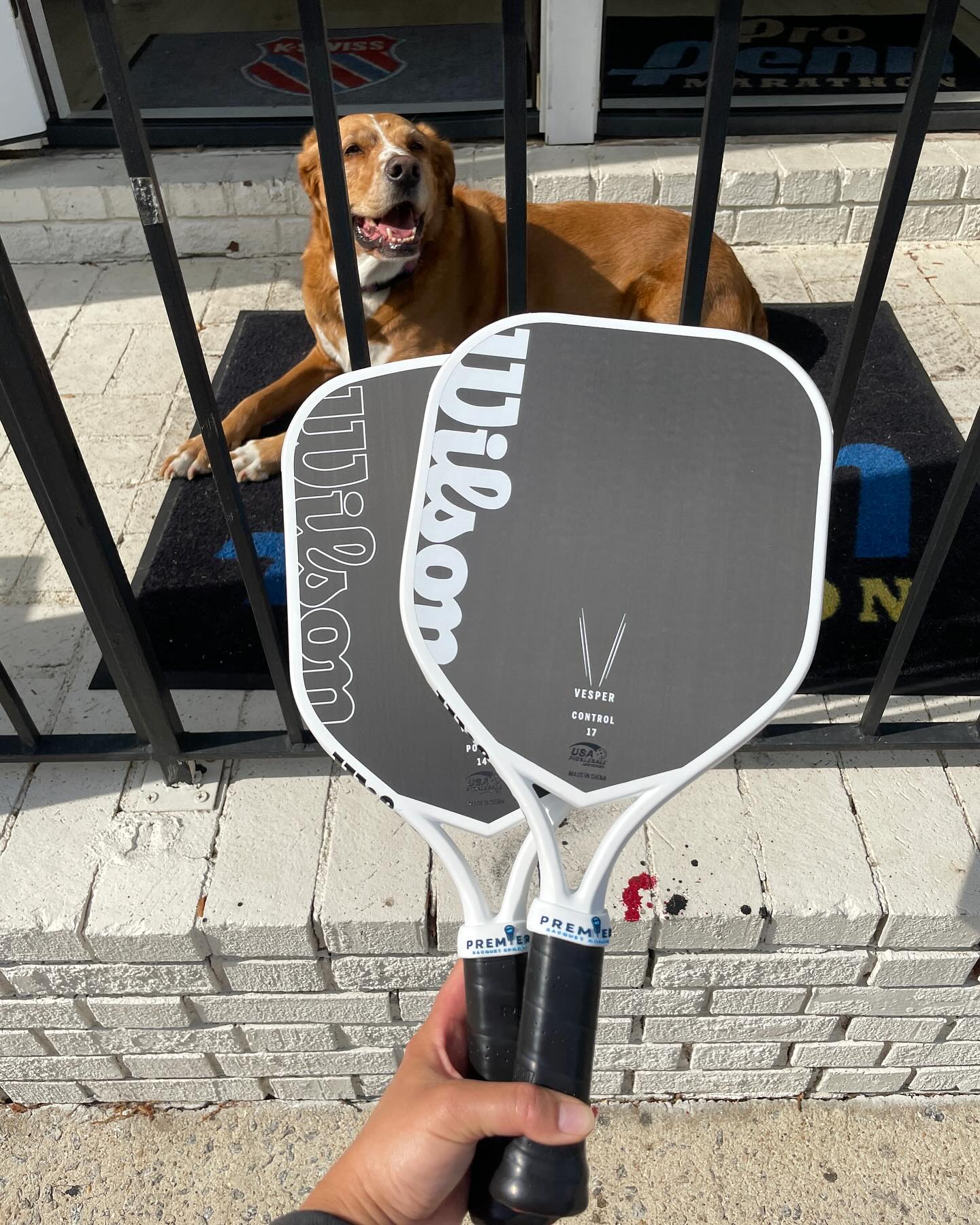 Đánh Giá Chi Tiết Vợt Pickleball Wilson Vesper Power & Control