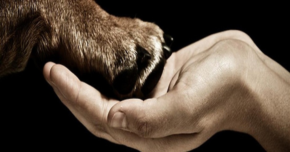 Thiên Đàng Trên Mặt Đất