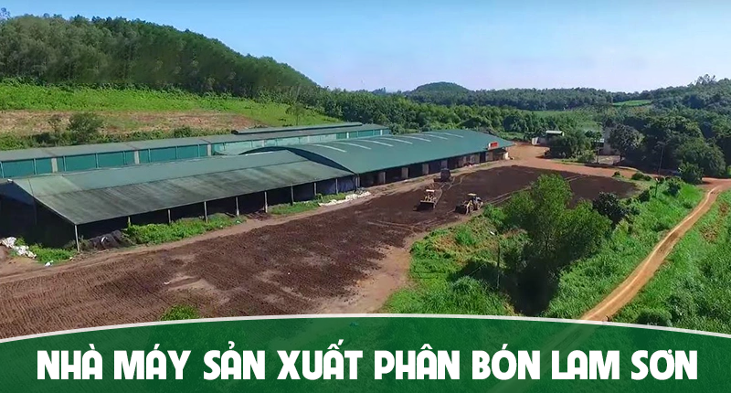 CÔNG TY CỔ PHẦN PHÂN BÓN LAM SƠN