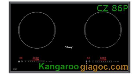 Bếp từ Canzy (Canzy CZ-86P)