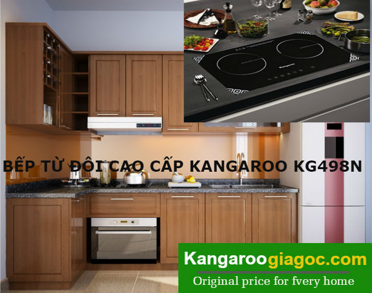 KANGAROO KG498N