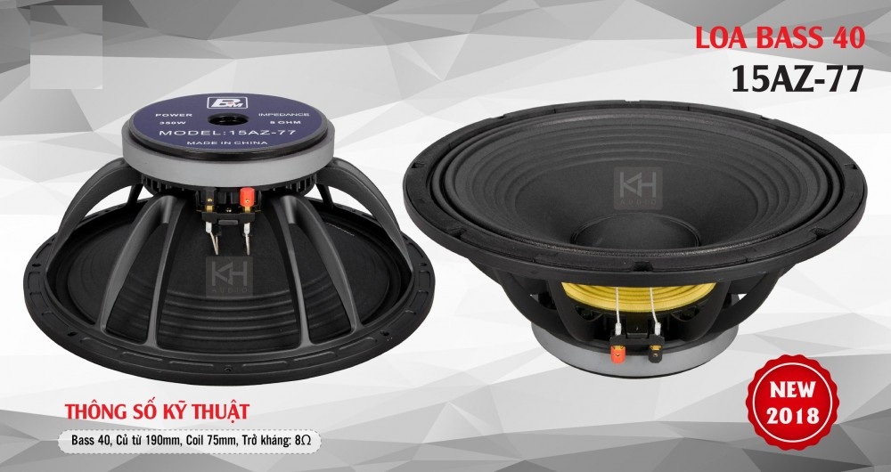 1. Định nghĩa Loa 4 Tấc