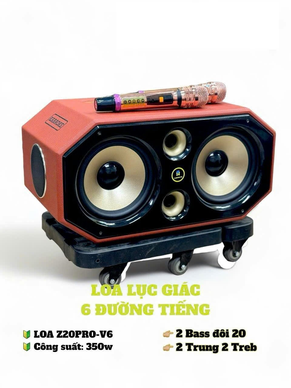3. Các thương hiệu loa karaoke 6 đường tiếng nổi bật