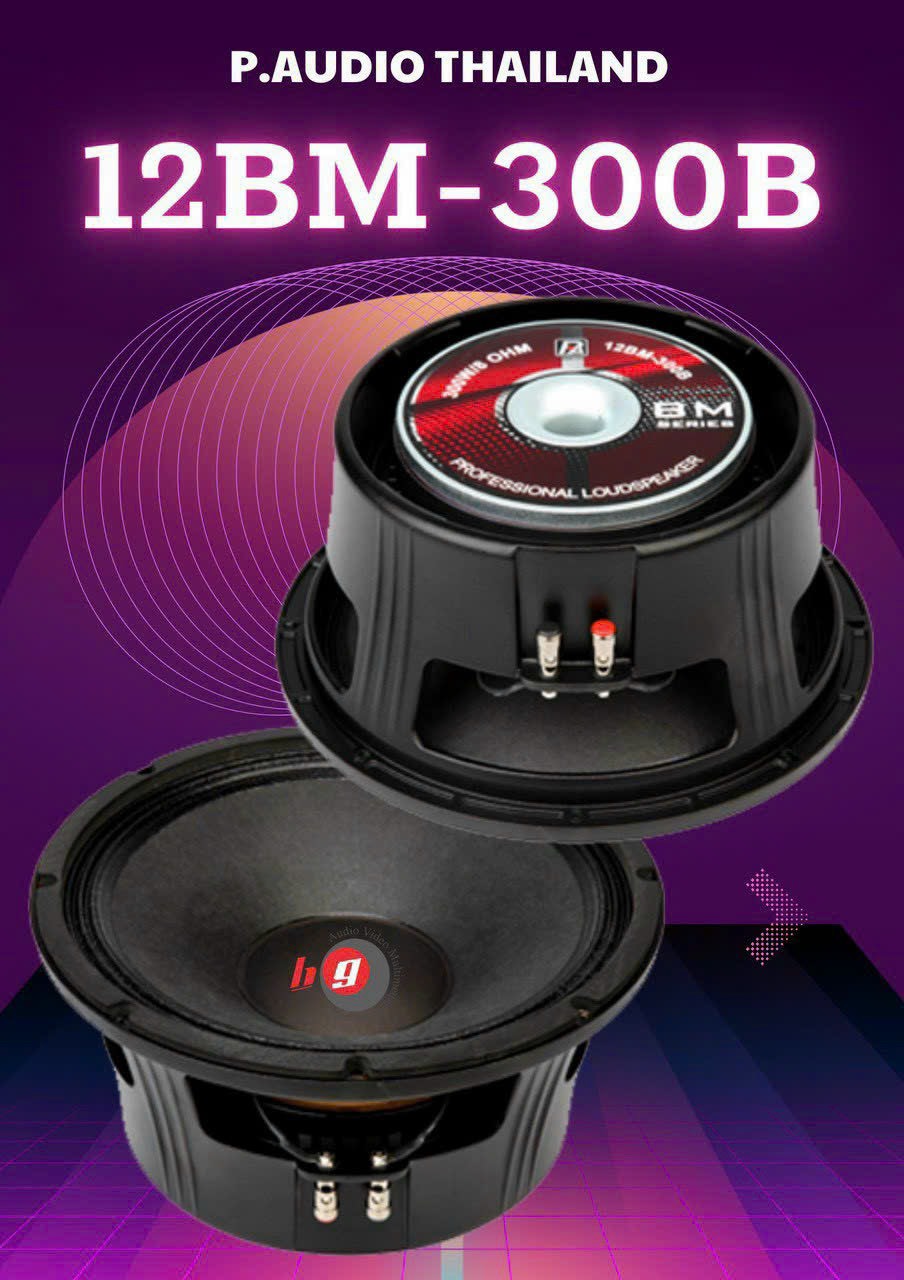 Loudspeaker P Audio 15bm 300b P Wholeselling Audio Speaker 15