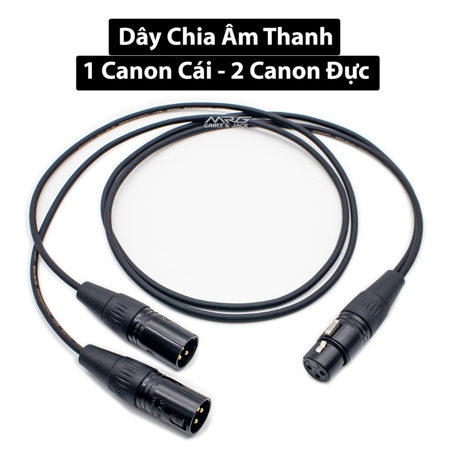 Dây tín hiệu Jack canon 1 đầu cái ra 2 đầu đực | Vinakara.com