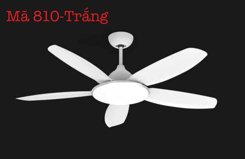 Quạt Trần Đèn 810