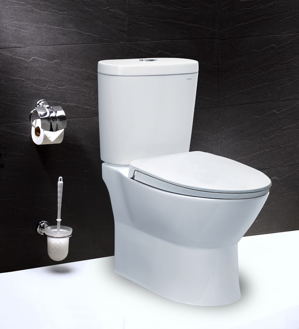 Bàn Cầu Hai Khối Caesar CD1320