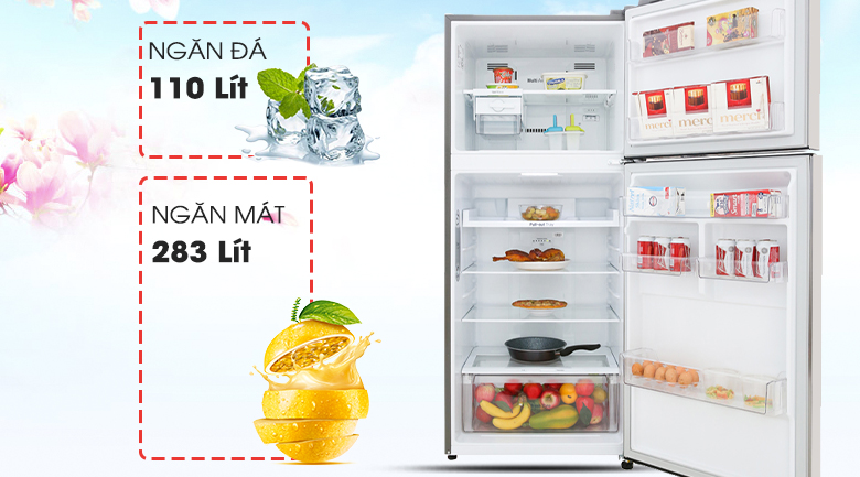 Tủ lạnh LG 393 lít GN-M422PS Smart Inverter