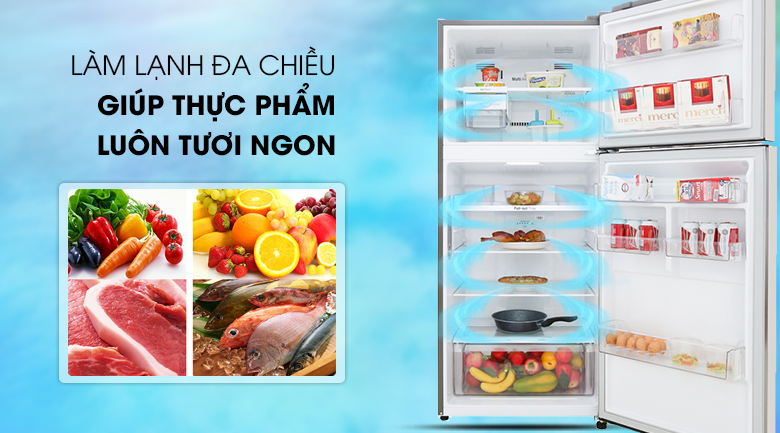 Tủ lạnh LG 393 lít GN-M422PS Smart Inverter