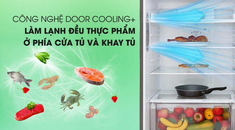 Tủ lạnh LG 393 lít GN-M422PS Smart Inverter