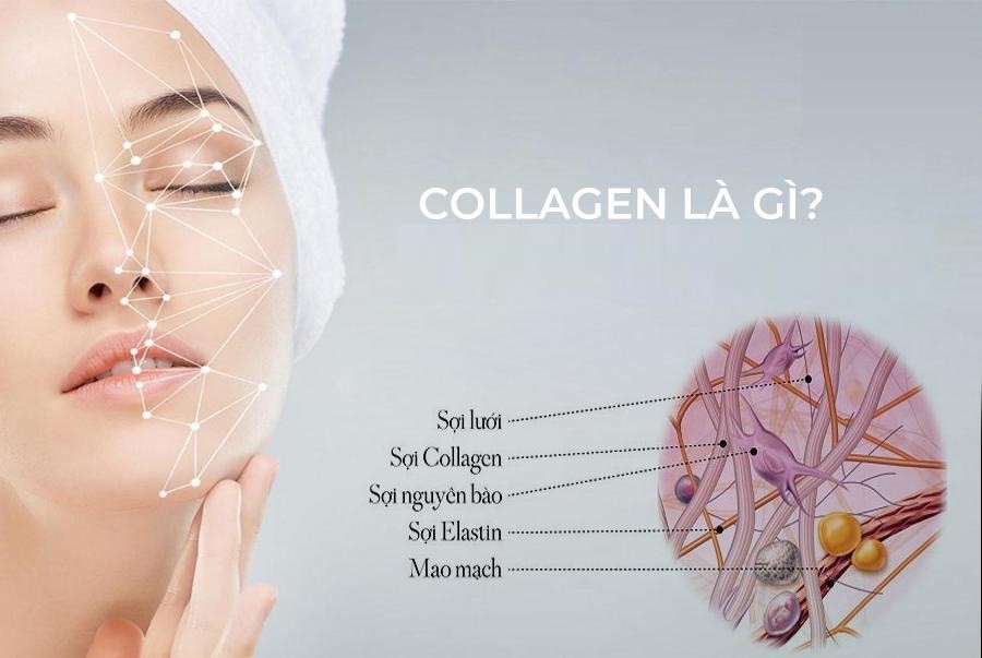 Có 5 tác dụng làm đẹp của collagen và cách dùng hiệu quả nhất