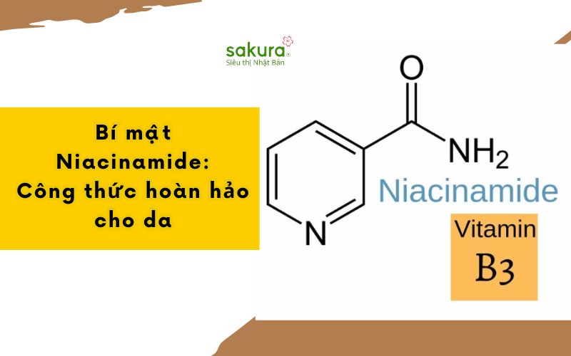 Bí mật của Niacinamide: Công thức hoàn hảo cho da mụn và giảm nếp nhăn