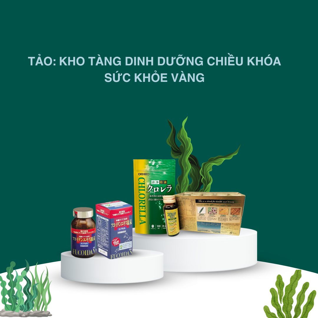 Tảo: Kho Tàng Dinh Dưỡng Chiều Khóa Sức Khỏe Vàng